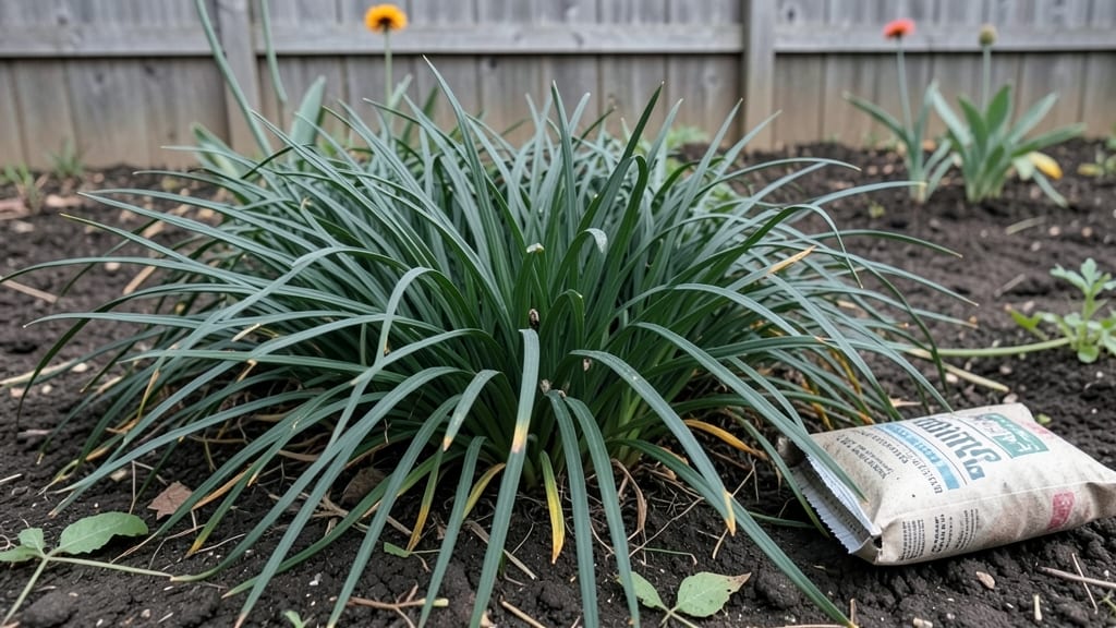 Mondo Grass Fertilizer: Best Types and Application Timing for Lush Growth